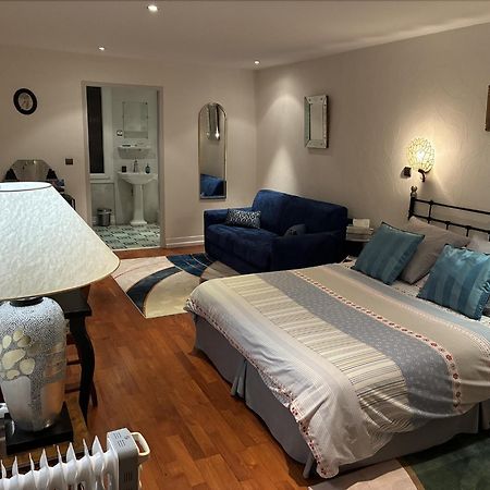 Villa Atmosphere Petit Dejeuner Compris غرونوبل المظهر الخارجي الصورة